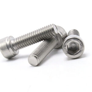 Stainless Steel Cap Screw