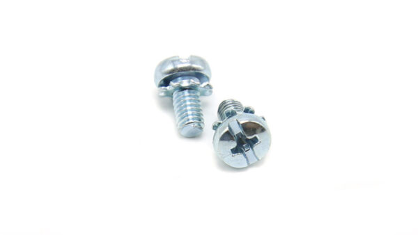 Screw with Lock Washer