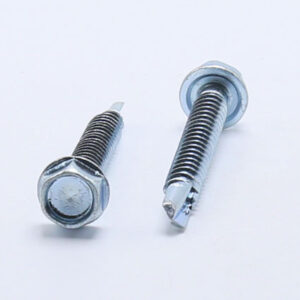 Hexagon Screw Head