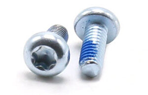 Torx Pan Head Machine Screws