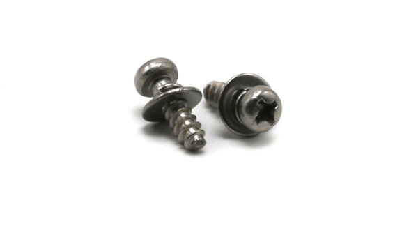 Double Washer Screw