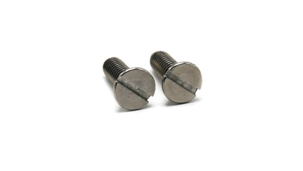 Chrome Plated Screws