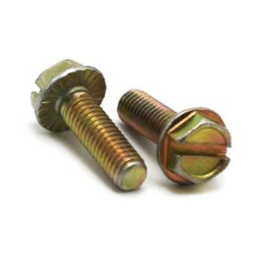 Slotted Hex Washer Head Machine Screw