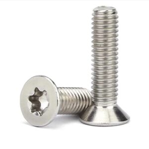 Stainless Steel Torx Screws