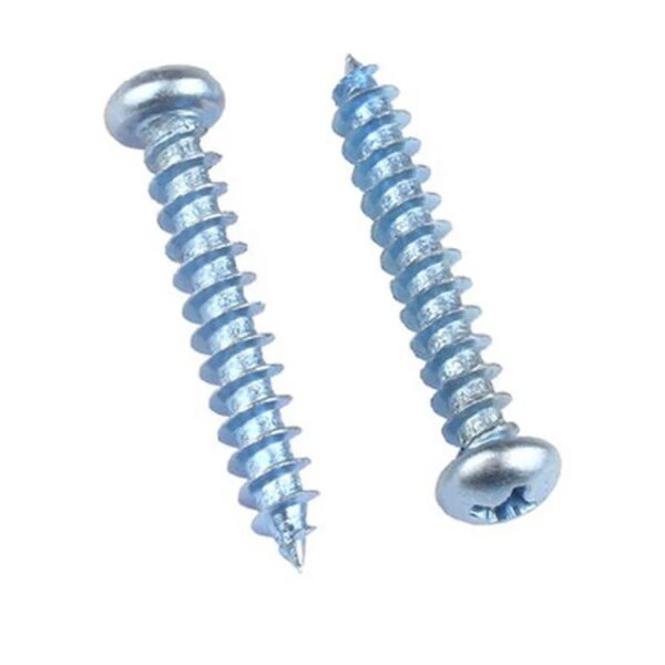 A pair of zinc-plated galvanized steel screws, one upright and the other tilted, on a white background.